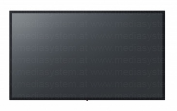 Panasonic TH-55CQE1W Display